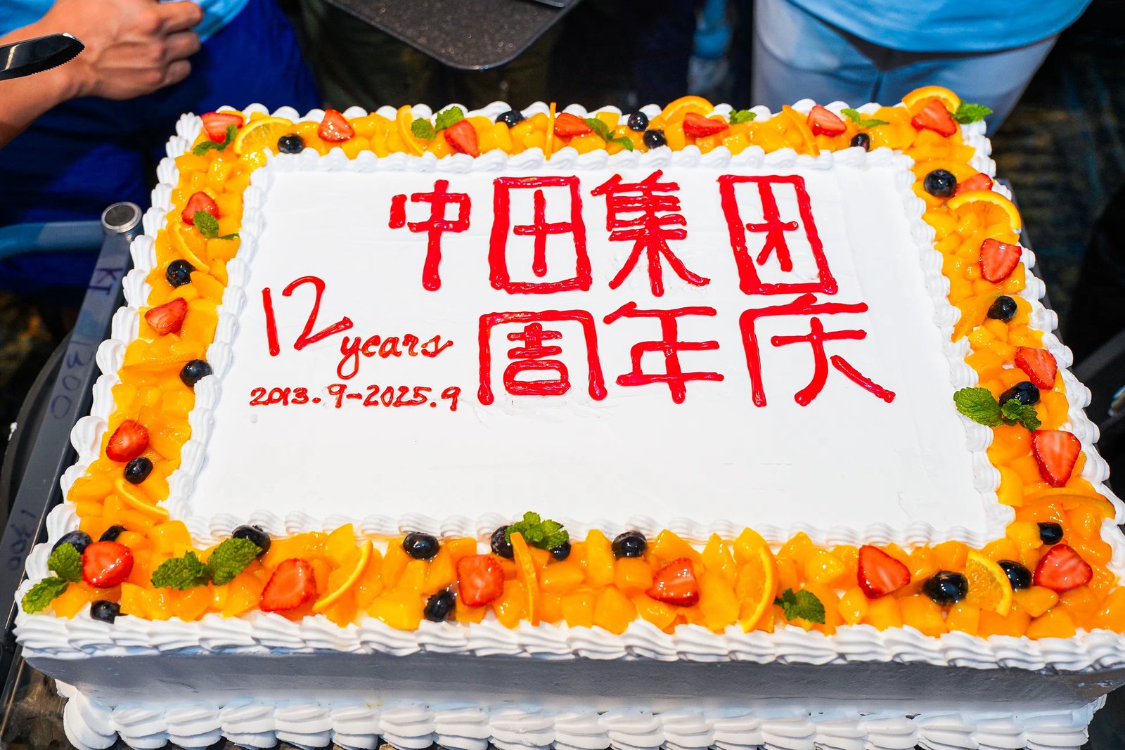 中田集团邮轮团建活动